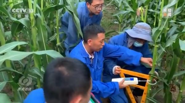 三牛娱乐集团,长沙杀虫剂,长沙光气衍生物,长沙氨基酸保护剂,长沙锂离子电池材料