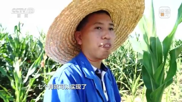 三牛娱乐集团,长沙杀虫剂,长沙光气衍生物,长沙氨基酸保护剂,长沙锂离子电池材料