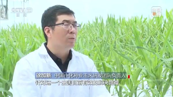 三牛娱乐集团,长沙杀虫剂,长沙光气衍生物,长沙氨基酸保护剂,长沙锂离子电池材料