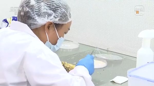 三牛娱乐集团,长沙杀虫剂,长沙光气衍生物,长沙氨基酸保护剂,长沙锂离子电池材料