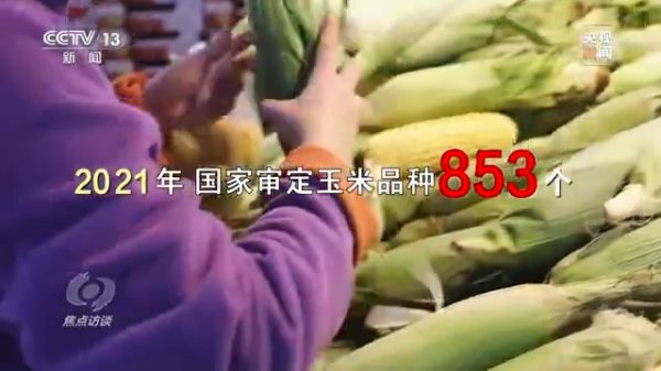 三牛娱乐集团,长沙杀虫剂,长沙光气衍生物,长沙氨基酸保护剂,长沙锂离子电池材料